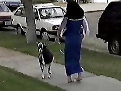 Hunchback ของน่ารังเกียจ dames xxx