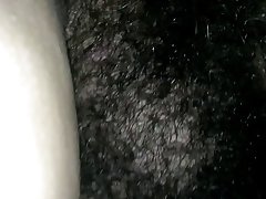 บิ๊กบุชมารี